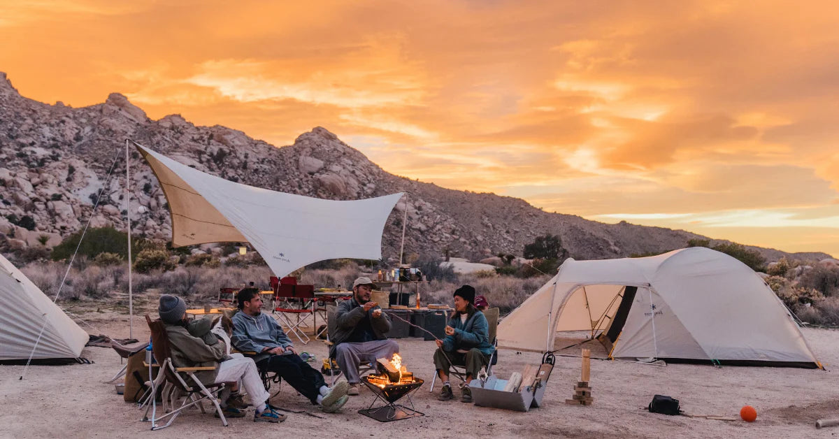 Friends camping at sunset